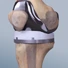 knee specialist 