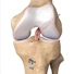 sports injury treatment
